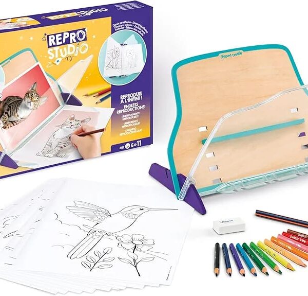 Studio riprodhimi vizatimesh, Repro' Studio Reproduction of Drawings, Maped Creativ